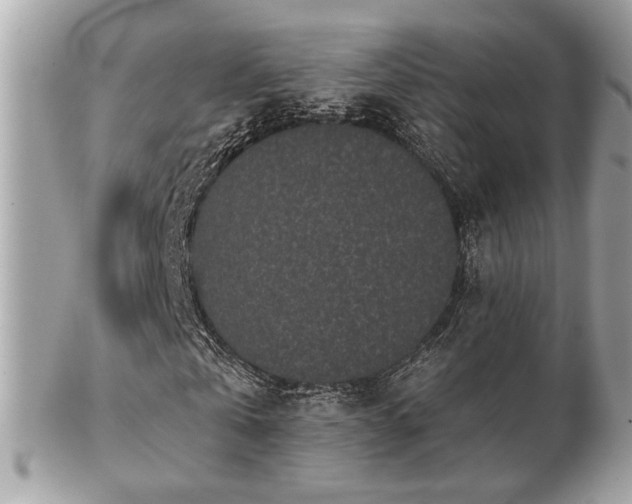 X0000103260769200808291217