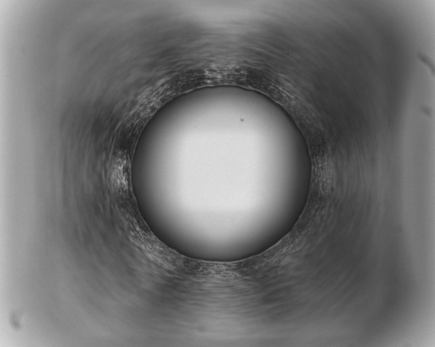 X0000103260770200808291217