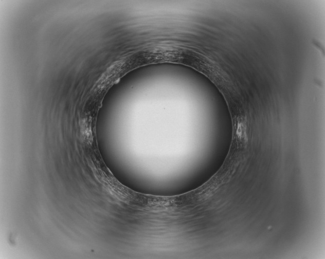 X0000103260771200808291217