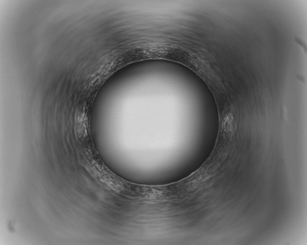 X0000103260772200808291217