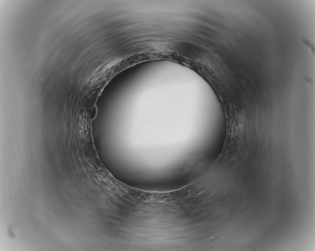 X0000103260773200808291217