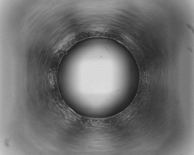 X0000103260774200808291217