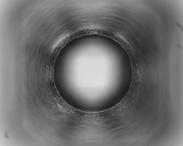 X0000103260775200808291217