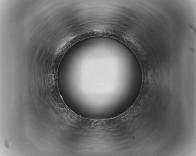 X0000103260776200808291217