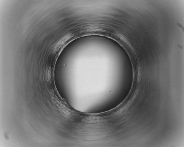 X0000103260777200808291217