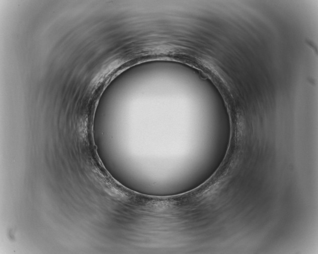 X0000103260778200808291217