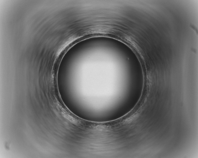 X0000103260779200808291217