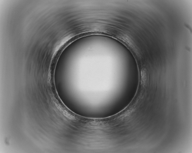 X0000103260780200808291217