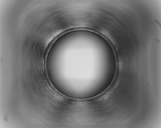 X0000103260781200808291217