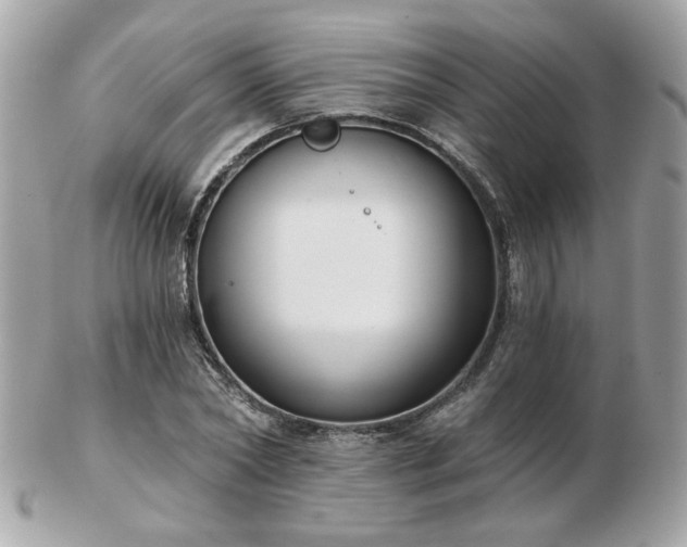 X0000103260782200808291217