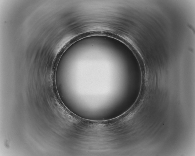 X0000103260783200808291217