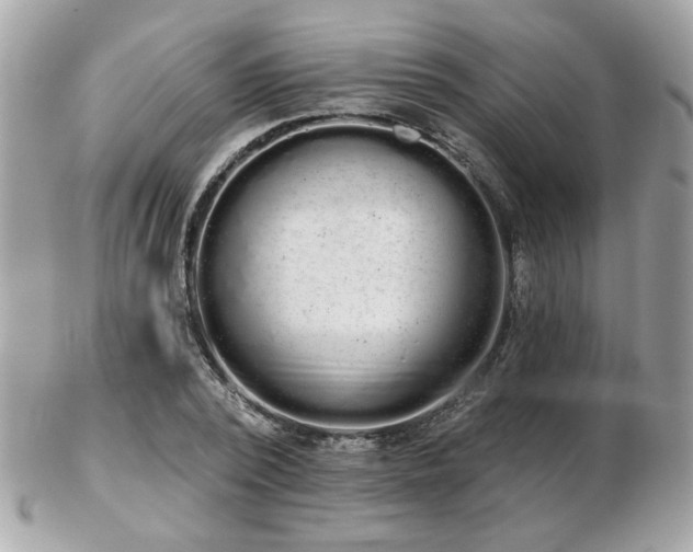 X0000103260784200808291217