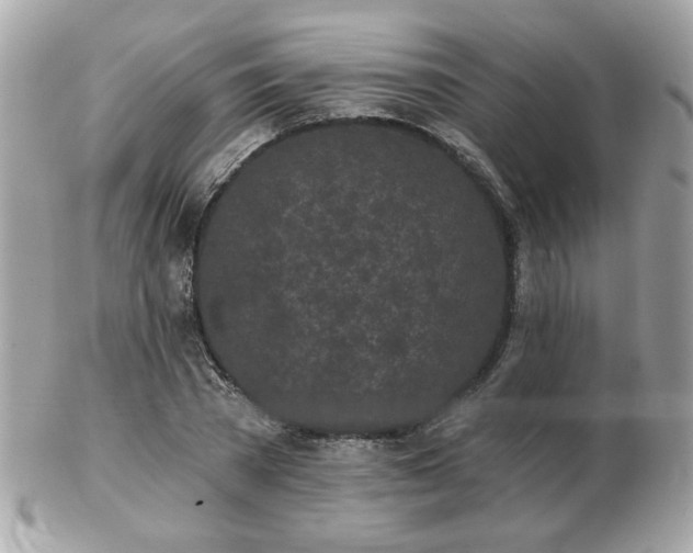 X0000103260785200808291217