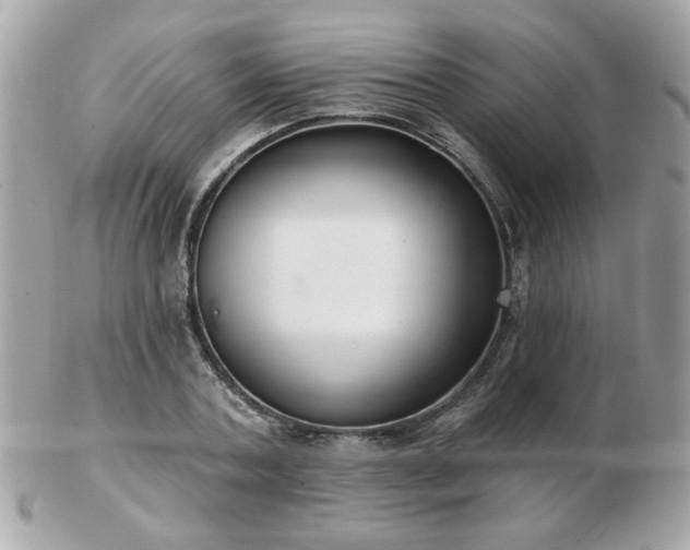 X0000103260787200808291217