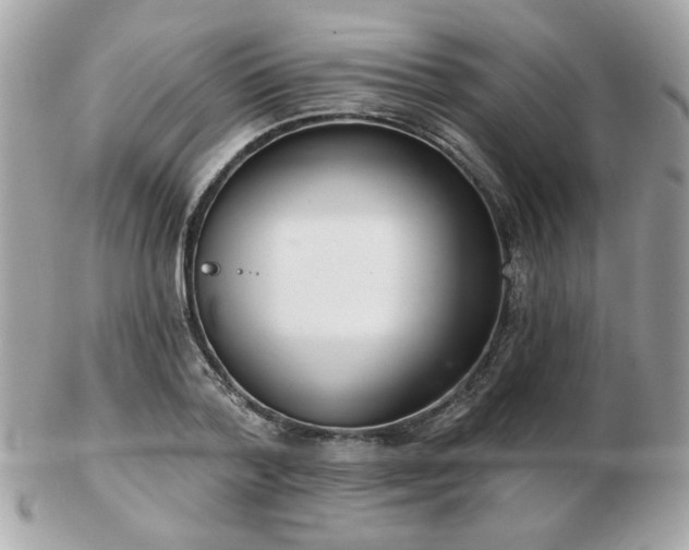 X0000103260788200808291217