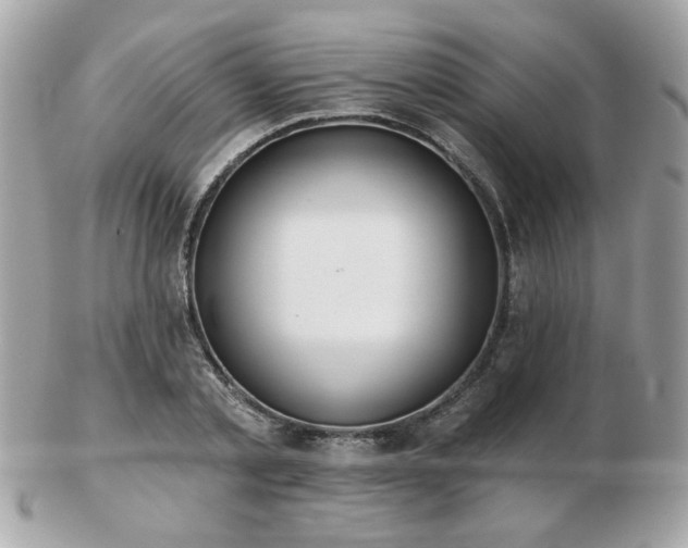 X0000103260789200808291217