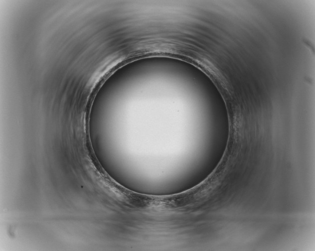 X0000103260790200808291217