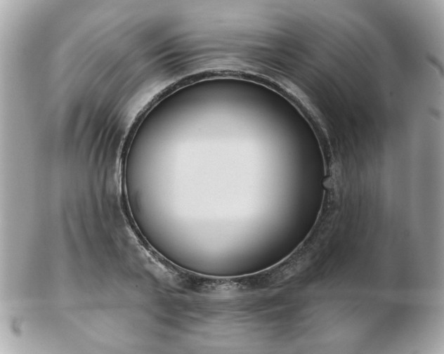 X0000103260791200808291217