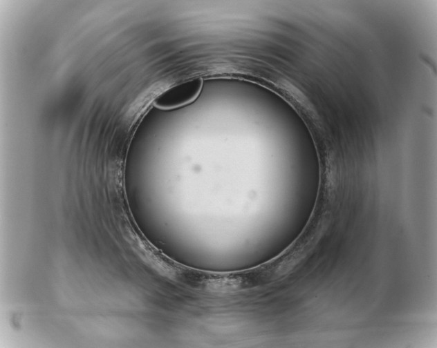 X0000103260793200808291217