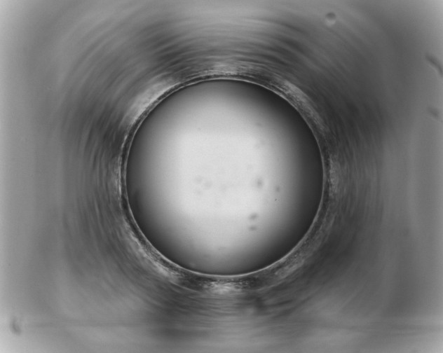 X0000103260794200808291217