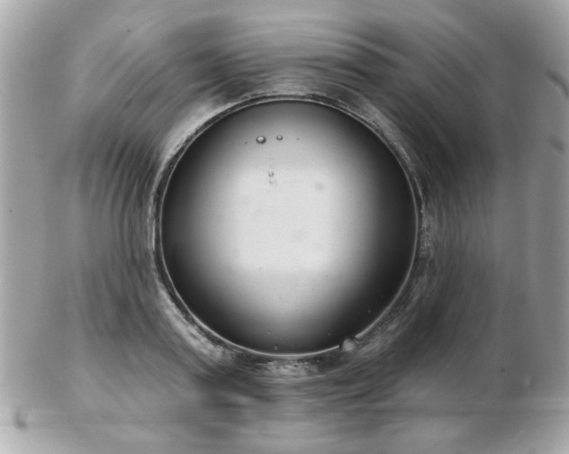 X0000103260795200808291217