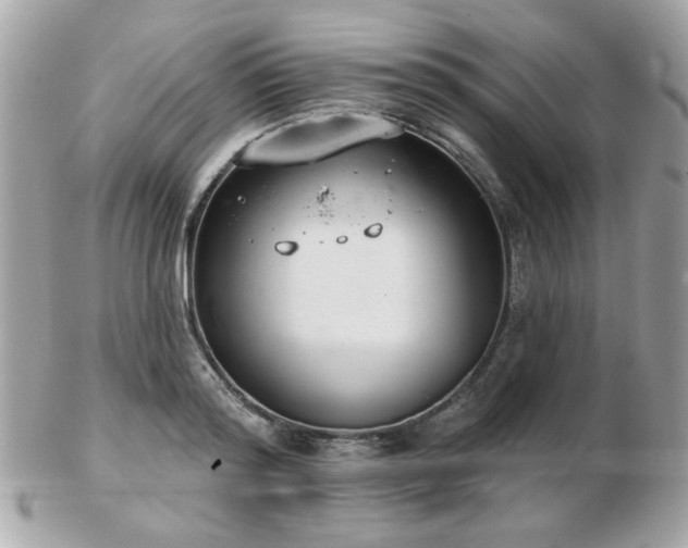 X0000103260796200808291217