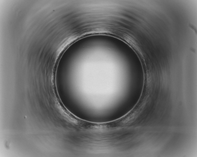 X0000103260797200808291217