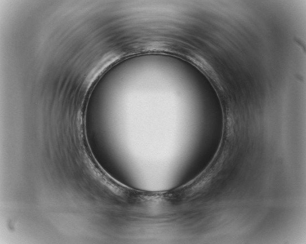 X0000103260798200808291217