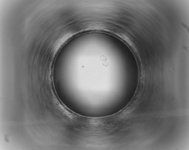 X0000103260799200808291217