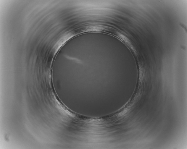 X0000103260802200808291217