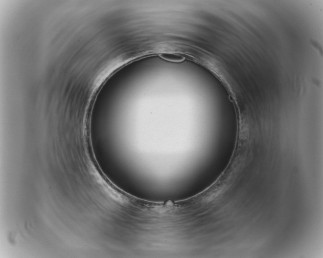 X0000103260803200808291217