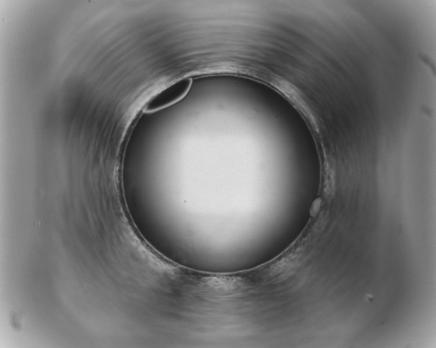 X0000103260805200808291217