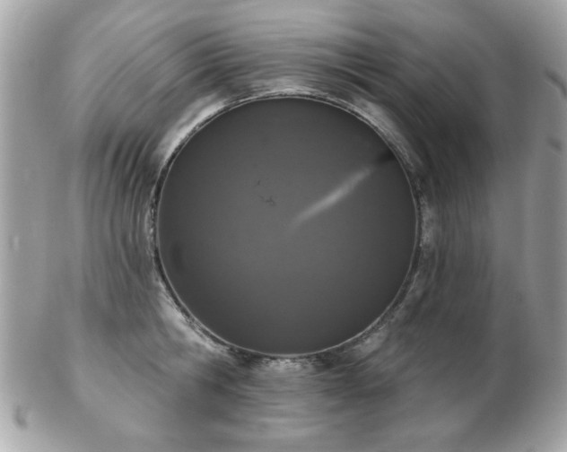 X0000103260806200808291216