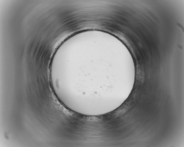 X0000103260807200808291216