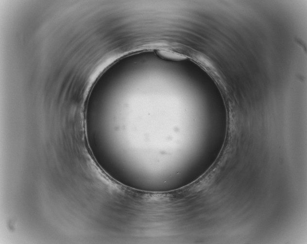 X0000103260808200808291216