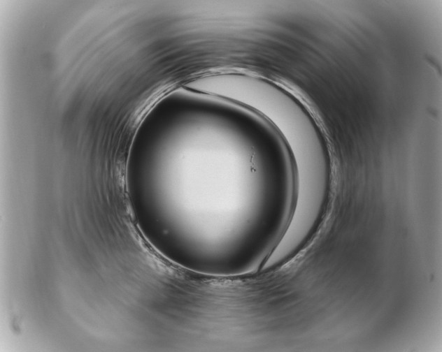 X0000103260809200808291216