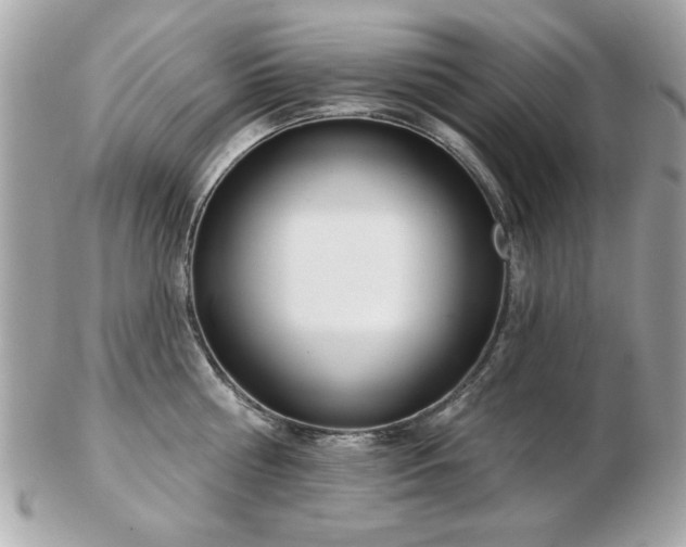 X0000103260810200808291216