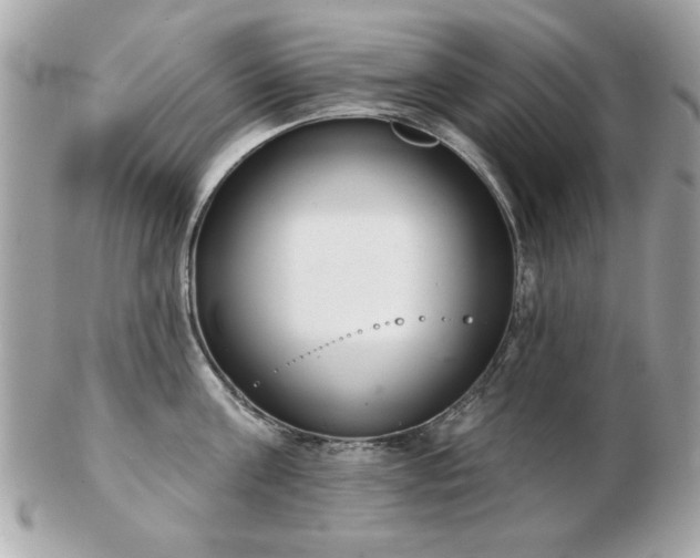 X0000103260811200808291216