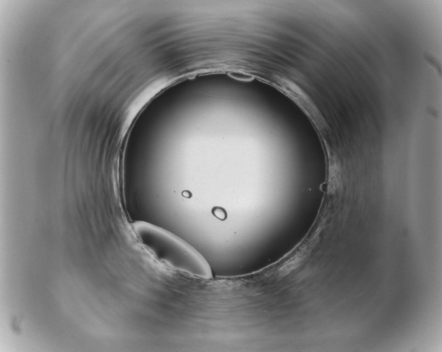 X0000103260812200808291216