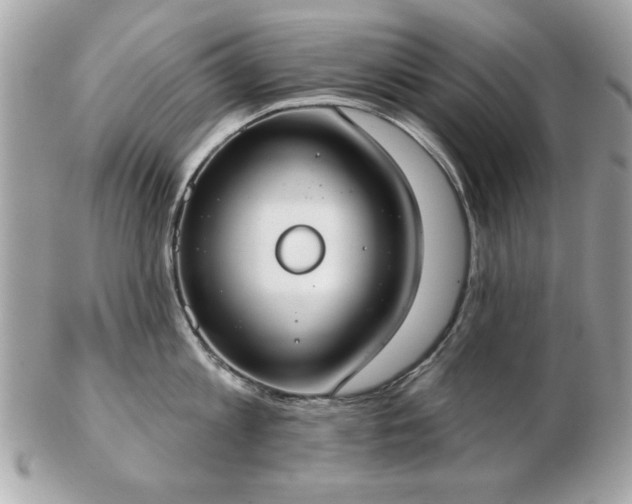 X0000103260813200808291216