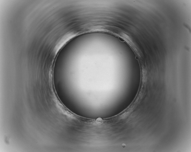 X0000103260814200808291216