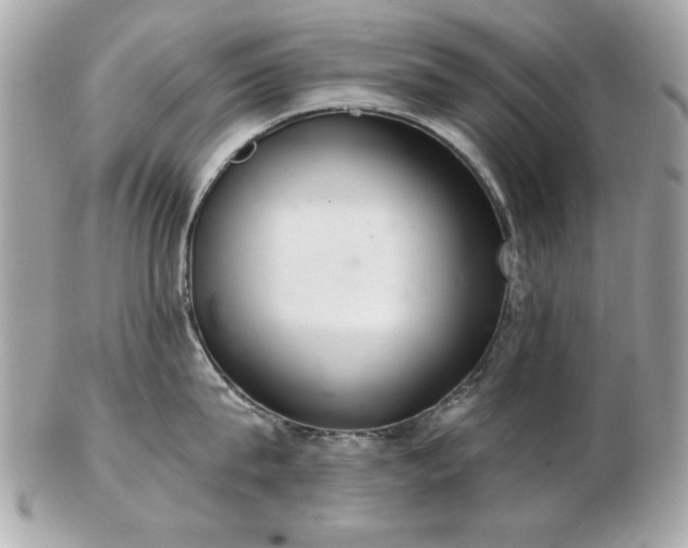 X0000103260815200808291216