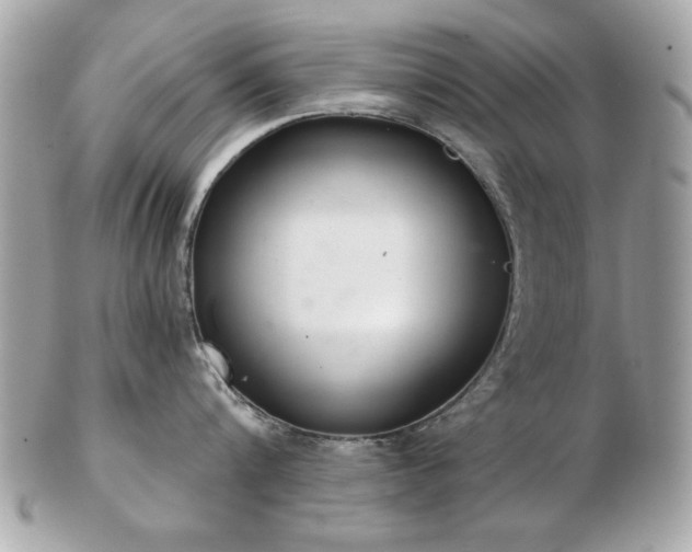 X0000103260816200808291216