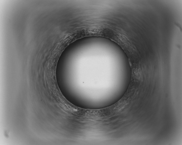 X0000103260817200808291216