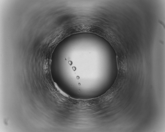 X0000103260818200808291216