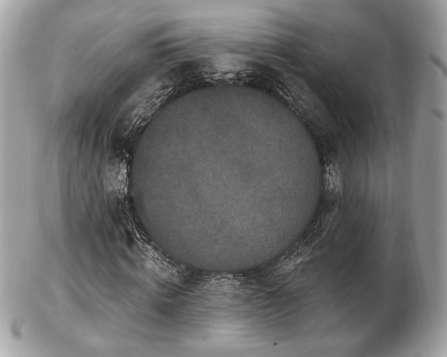 X0000103260820200808291216