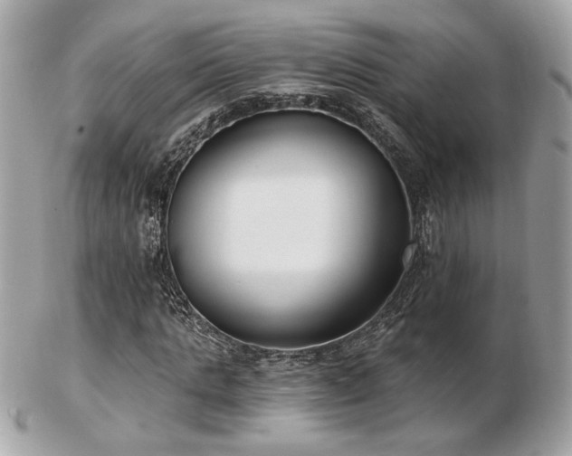 X0000103260821200808291216