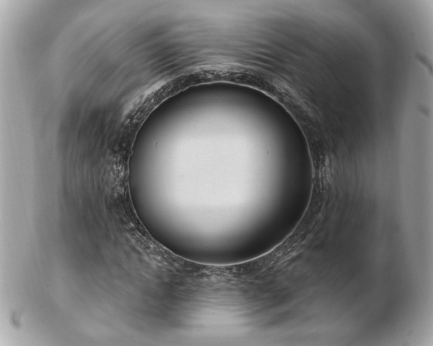 X0000103260822200808291216