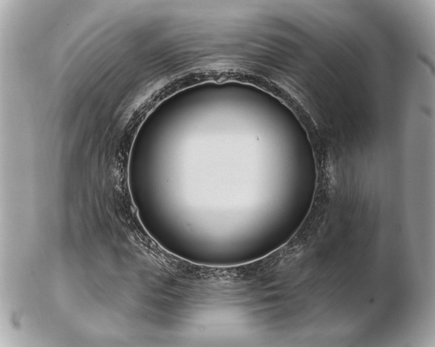 X0000103260823200808291216