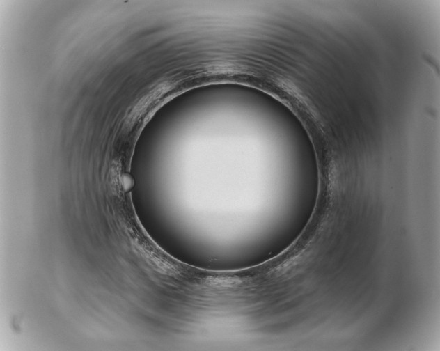 X0000103260825200808291216